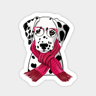 Dalmatian with scarf Sticker